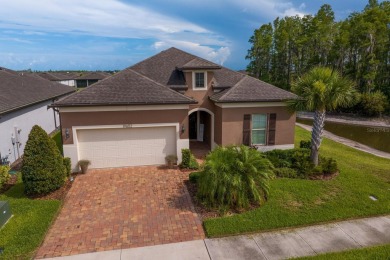 Lake Home For Sale in Land O Lakes, Florida