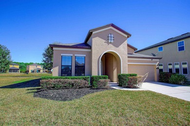 Samara Lakes Area Home For Sale in ST Augustine Florida