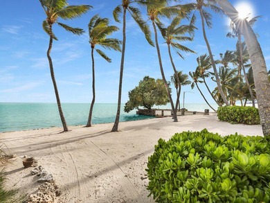 Beautiful 100' of oceanfront property on Lower Matecumbe Key - photo 11