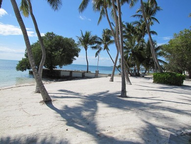 Beautiful 100' of oceanfront property on Lower Matecumbe Key - photo 13