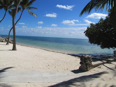 Beautiful 100' of oceanfront property on Lower Matecumbe Key - photo 16