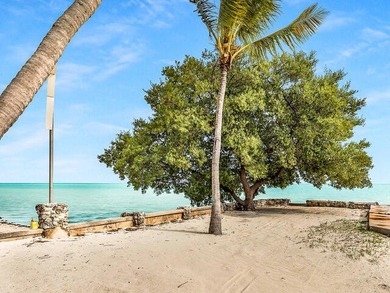 Beautiful 100' of oceanfront property on Lower Matecumbe Key - photo 20