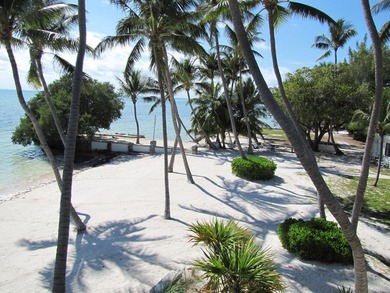 Beautiful 100' of oceanfront property on Lower Matecumbe Key - photo 23