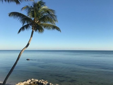 Beautiful 100' of oceanfront property on Lower Matecumbe Key - photo 26