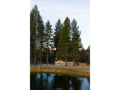 33037 Canyon Dr - photo 2
