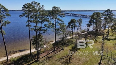 Waterfront Mixed-Use OpportunityLillian, Alabama | Perdido Bay | - photo 4