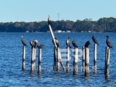 Waterfront Mixed-Use OpportunityLillian, Alabama | Perdido Bay | - photo 10