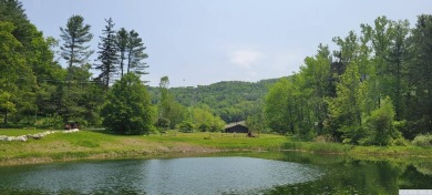 (private lake, pond, creek) Home For Sale in Hillsdle New York