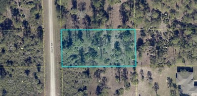 Lehigh Acres Area Lot For Sale in Lehigh Acres Florida