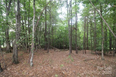 Lake Wylie Lot For Sale in Rock Hill South Carolina