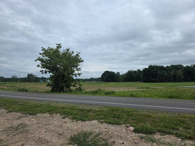 Prime Commercial Opportunity with Additional Development Parcel - photo 4