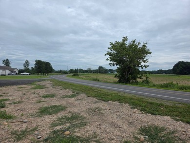 Prime Commercial Opportunity with Additional Development Parcel - photo 5