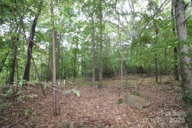 Lake Wylie Lot For Sale in Rock Hill South Carolina
