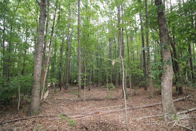 This beautiful, wooded 1.2+/- acre lot, located on a quiet road - photo 2