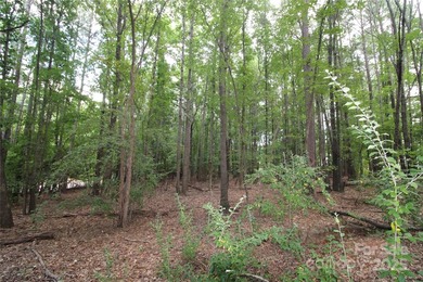 This beautiful, wooded 1.2+/- acre lot, located on a quiet road - photo 3