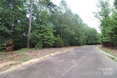 This beautiful, wooded 1.2+/- acre lot, located on a quiet road - photo 4