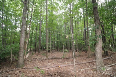 Lake Wylie Lot For Sale in Rock Hill South Carolina