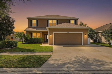 (private lake, pond, coastal) Home For Sale in Ruskin Florida