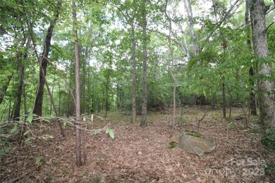 Beautiful 1.5+/- acre lot, located on a quiet road in Rock Hill! - photo 3