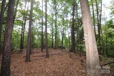 Beautiful 1.5+/- acre lot, located on a quiet road in Rock Hill! - photo 4