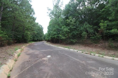 Beautiful 1.5+/- acre lot, located on a quiet road in Rock Hill! - photo 5