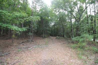 Beautiful 1+ acre lot, located on a quiet road in Rock Hill! - photo 2