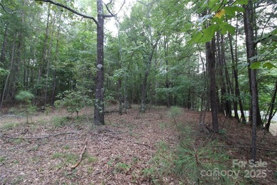 Beautiful 1+ acre lot, located on a quiet road in Rock Hill! - photo 3