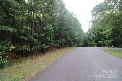 Beautiful 1+ acre lot, located on a quiet road in Rock Hill! - photo 5
