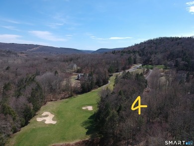 Exceptional opportunity to purchase a three-lot package totaling - photo 6