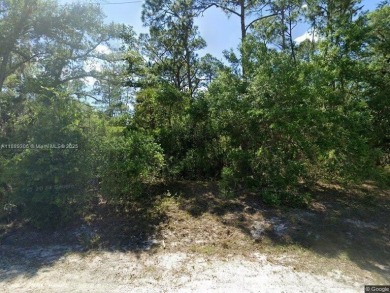 Port Charlotte Waterway Lakes Area Lot For Sale in Port Charlotte Florida