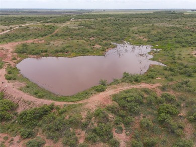 (private lake, pond, coastal) Acreage For Sale in Ballinger Texas