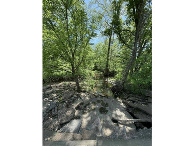 Welcome to 314+/- acres of exceptional Missouri land with - photo 4