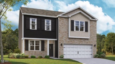 Boone Lake Home For Sale in Bluff City Tennessee