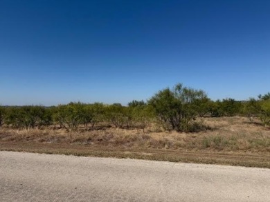 Nice and level five acre lot ready to build on. Elevated home - photo 2