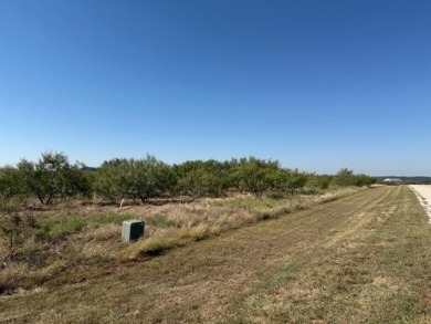 Nice and level five acre lot ready to build on. Elevated home - photo 3