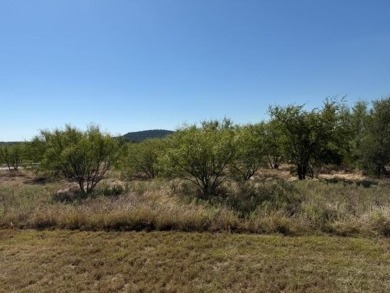 Nice and level five acre lot ready to build on. Elevated home - photo 4