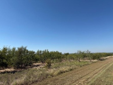 Nice and level five acre lot ready to build on. Elevated home - photo 5