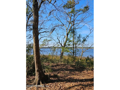 AMAZING WATER VIEWS! Parcel may be Split One Time. Now offering - photo 4