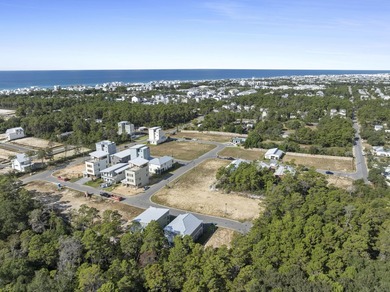 QUICK MOVE IN!! Welcome to Wildwood at Inlet Beach, where modern - photo 4