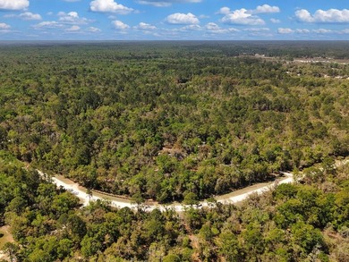 Welcome to your private slice of Old Florida paradise just - photo 38