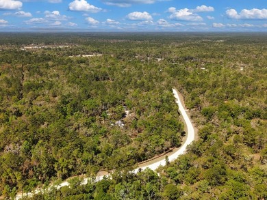 Welcome to your private slice of Old Florida paradise just - photo 39