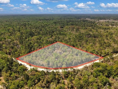 Welcome to your private slice of Old Florida paradise just - photo 40