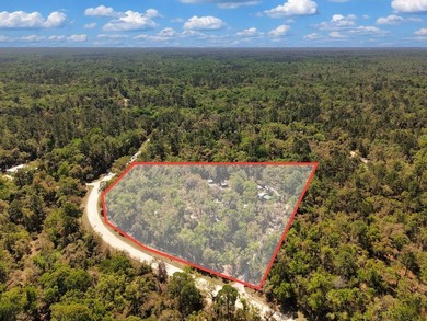 Welcome to your private slice of Old Florida paradise just - photo 41