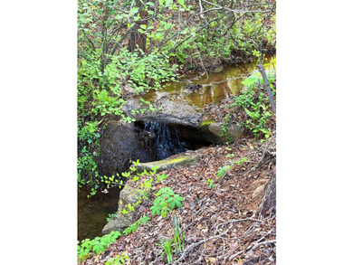 Lake living and just in time for spring and summer! Check out - photo 46