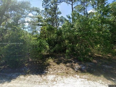 Lehigh Acres Area Lot Sale Pending in Lehigh Acres Florida