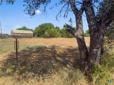 Lake Lot For Sale in Kingsland, Texas