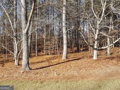 (private lake, pond, coastal) Lot For Sale in Ball Ground Georgia