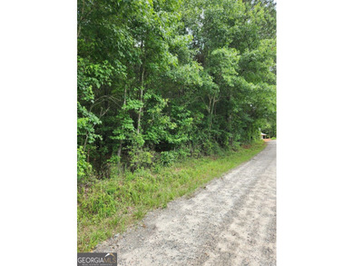 Beautiful 4.11-acre wooded homesite in desirable Walton County - photo 1