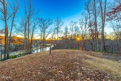 Lake Acreage For Sale in Piney Flats, Tennessee