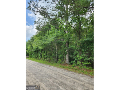 Beautiful 4.11-acre wooded homesite in desirable Walton County - photo 2